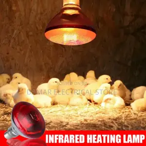 Infrared Heat Lamp