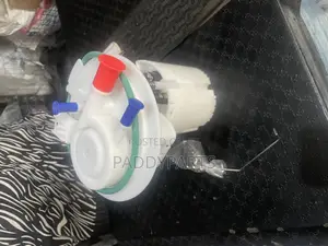 Chrysler 200 Complete Fuel Pump 2015-2016 2.4l