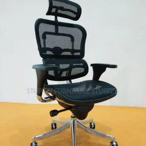 High Quality Economy M. D Office Chairs