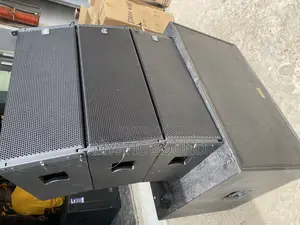 Dual 10inches Stage King Line Aray