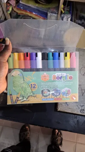 12 Colours Set Acrylic Paint Art Marker Pen Rock Painting Fo