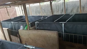 Fish Pond Tarpaulins