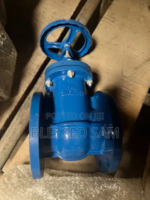 Cast Iron Gate Valve