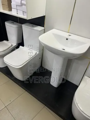 Executive White Water Closet With Washing Hand Basin
