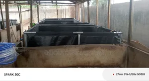 Fish Pond (Pay on Delivery)