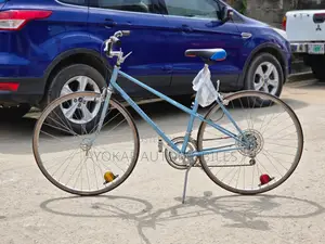 Foreign Bicycle