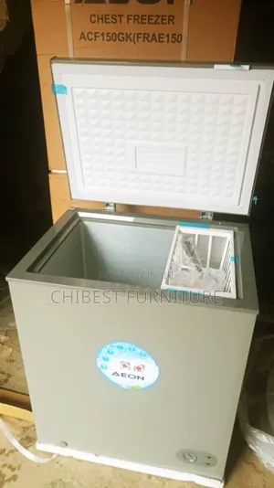 Quality Imported Aeon Deep Freezer