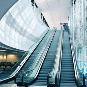 Professional Factory Moving Sidewalk