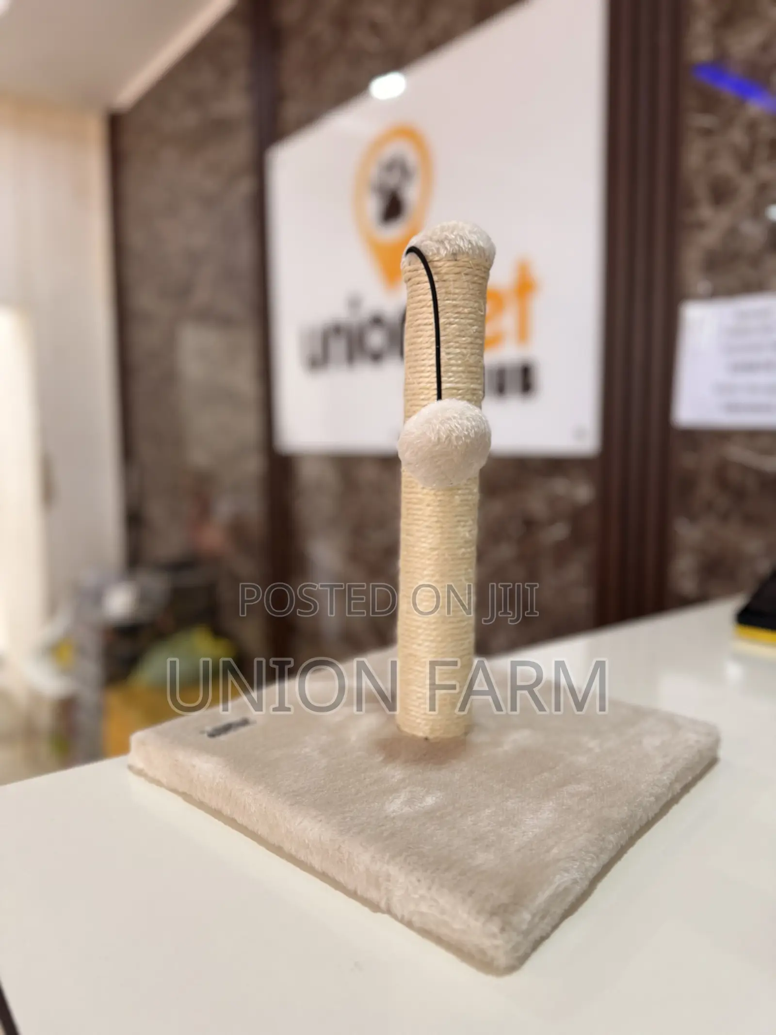 Small Cat Scratch Post