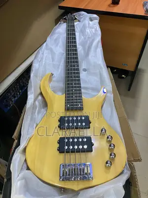 Fender Five String Bass Guitar