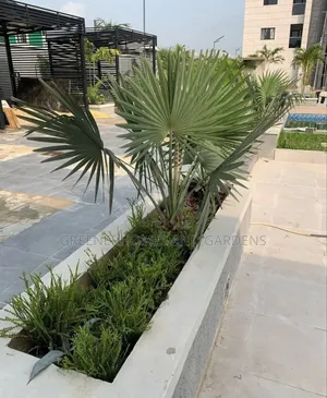 Flower Bed Design