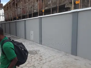 Professional House Wall Painting and Screeding