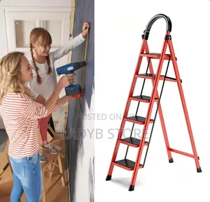 6 Steps Ladder