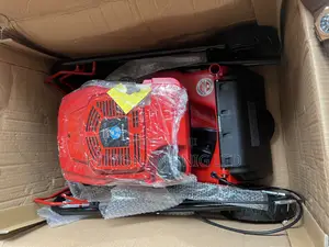 Einhell 5hp Mower