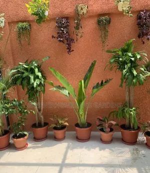 Flower Pots Design
