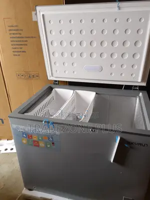 Skyrun 250l: The Cold Standard in Freezers