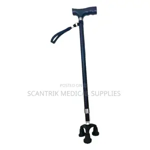 Stride Stick