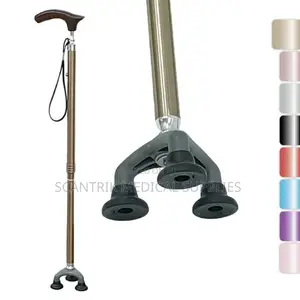 Step Assist Pole