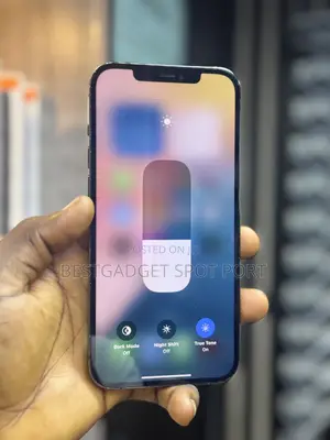 Apple iPhone 11 Pro Max 64 GB Black