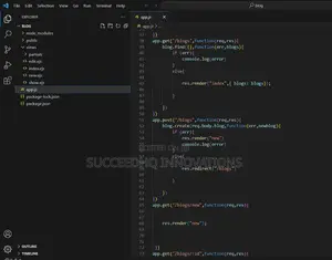 Professional App Website Backend Developer Lagos | Node.Js
