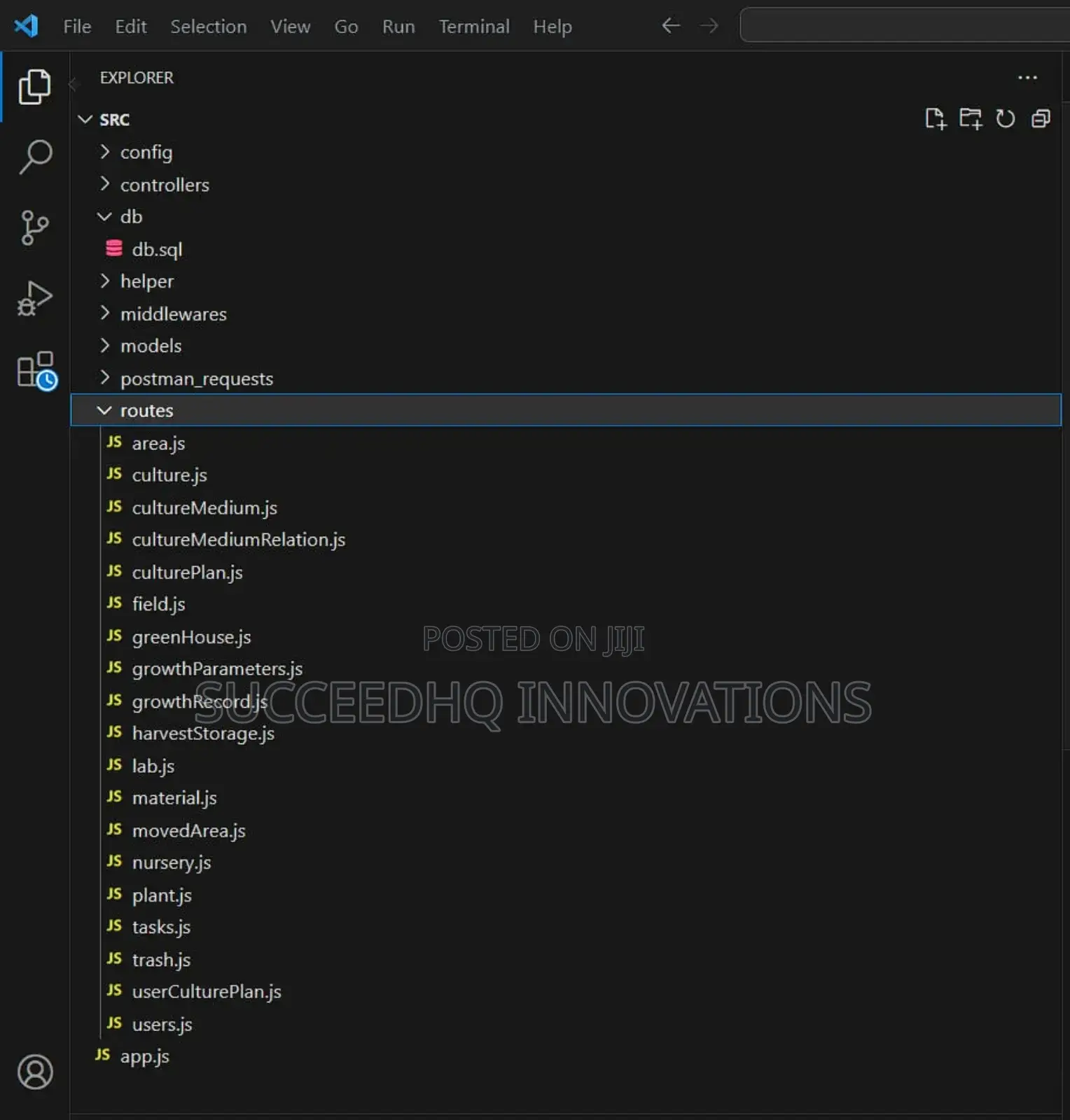 Professional App Website Backend Developer Lagos | Node.Js
