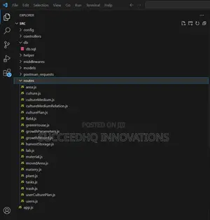 Professional App Website Backend Developer Lagos | Node.Js