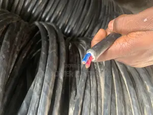 6mm 2 Core Armored Cable