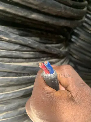 6mm 2 Core Nigeria Armored Cable