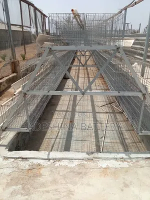 Poultry Cages 96 And 120 Capacities
