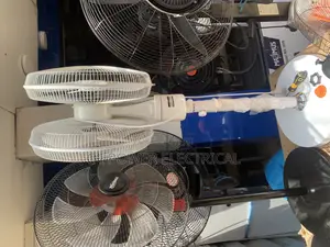 Dua Double Head Standing Fan