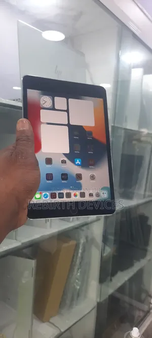 Apple iPad mini 4 128 GB Gray