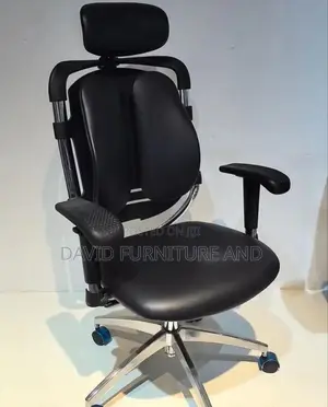 New Modern Orthopedic Chair