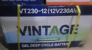 Vintage Deep Cycle Battery