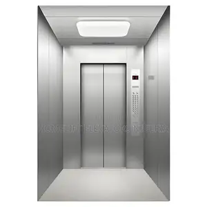 House Personal Traction Elevator