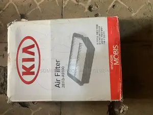 Genuine Air Filter Hyundai and Kia Available 