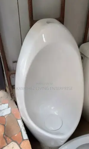 Wall-Mounted Urinal for Public Commercial Toilets