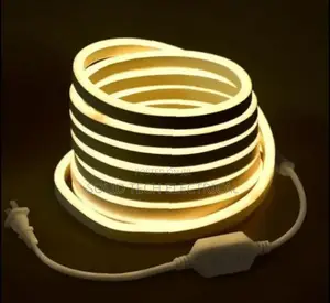 Warmwhite Neon Rope Light Per Meter