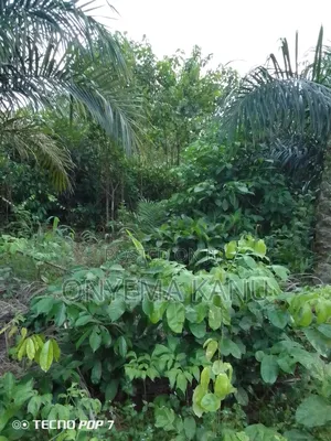 2 Plots Rural Land for Sale.