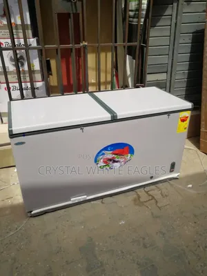 600l Chest Deep Freezer