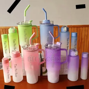 Quality 3in1 Water Bottle With Straw
