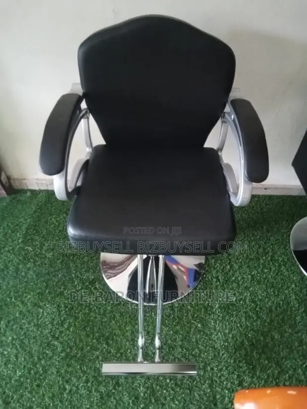 Salon Chair