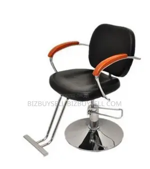 Salon Chair