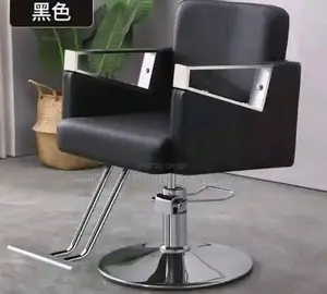 Unique Salon Chair