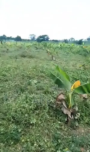 Fully Fenced Commercial Land for Lease