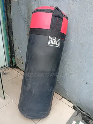Big Everlast Punching Bag