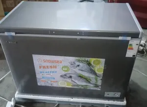 300 Liters Snowsea Chest Freezer, Silver Color.