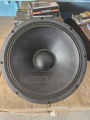 Brand New SBT Subwoofer 18" Naked Speaker