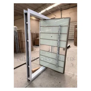 Pivot Security Steel Door