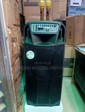 Double Bass Pa System 15inches With 2 Wireless Microphone