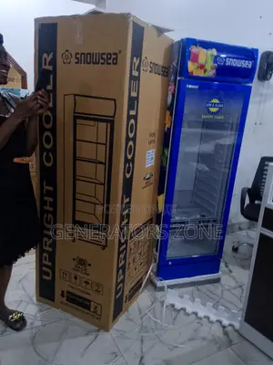 Reliable Cold Storage With Snowsea 300w Commercial Chiller